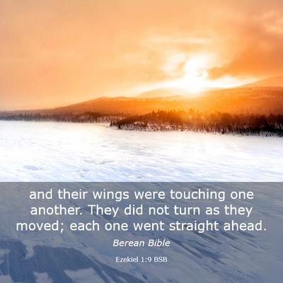 Picture 03 - Ezekiel 1:9 BSB - and their wings were touching one another. They - Bible Verse Picture
