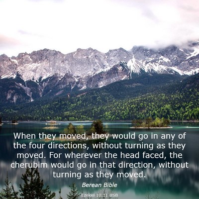 Picture 03 - Ezekiel 10:11 BSB - When they moved, they would go in any of the four - Bible Verse Picture