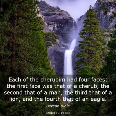 Picture 03 - Ezekiel 10:14 BSB - Each of the cherubim had four faces: the first - Bible Verse Picture