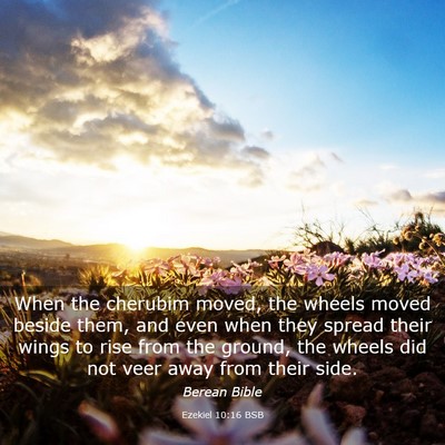 Picture 03 - Ezekiel 10:16 BSB - When the cherubim moved, the wheels moved beside - Bible Verse Picture