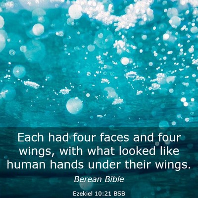 Picture 03 - Ezekiel 10:21 BSB - Each had four faces and four wings, with what - Bible Verse Picture