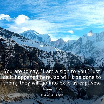 Picture 03 - Ezekiel 12:11 BSB - You are to say, ‘I am a sign to you.’ Just as - Bible Verse Picture