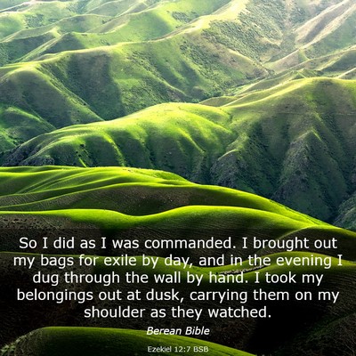 Picture 03 - Ezekiel 12:7 BSB - So I did as I was commanded. I brought out my - Bible Verse Picture