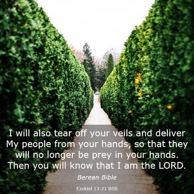 Picture 03 - Ezekiel 13:21 BSB - I will also tear off your veils and deliver My - Bible Verse Picture