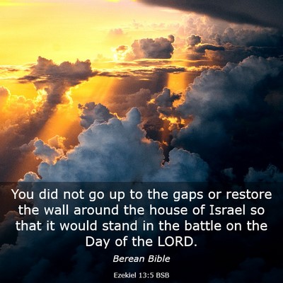Picture 03 - Ezekiel 13:5 BSB - You did not go up to the gaps or restore the wall - Bible Verse Picture