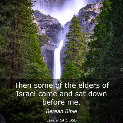 Picture 03 - Ezekiel 14:1 BSB - Then some of the elders of Israel came and sat - Bible Verse Picture