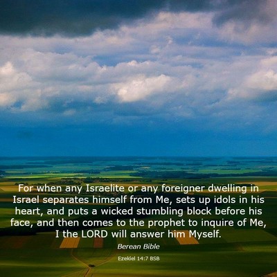 Picture 03 - Ezekiel 14:7 BSB - For when any Israelite or any foreigner dwelling - Bible Verse Picture
