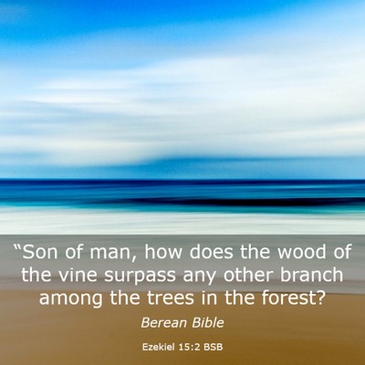 Picture 03 - Ezekiel 15:2 BSB - “Son of man, how does the wood of the vine - Bible Verse Picture