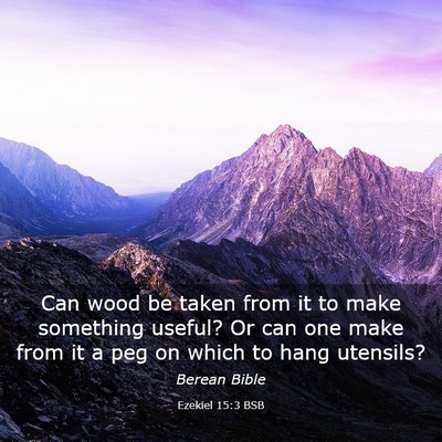 Picture 03 - Ezekiel 15:3 BSB - Can wood be taken from it to make something - Bible Verse Picture