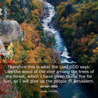 Picture 03 - Ezekiel 15:6 BSB - Therefore this is what the Lord GOD says: ‘Like - Bible Verse Picture