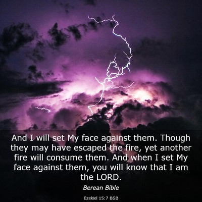 Picture 03 - Ezekiel 15:7 BSB - And I will set My face against them. Though they - Bible Verse Picture