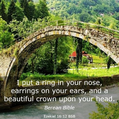 Picture 03 - Ezekiel 16:12 BSB - I put a ring in your nose, earrings on your ears, - Bible Verse Picture