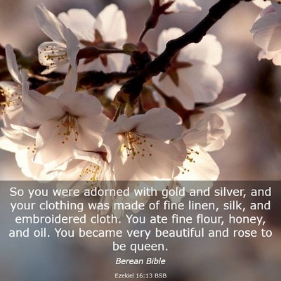 Picture 03 - Ezekiel 16:13 BSB - So you were adorned with gold and silver, and - Bible Verse Picture