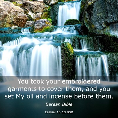 Picture 03 - Ezekiel 16:18 BSB - You took your embroidered garments to cover them, - Bible Verse Picture