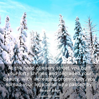 Picture 03 - Ezekiel 16:25 BSB - At the head of every street you built your lofty - Bible Verse Picture