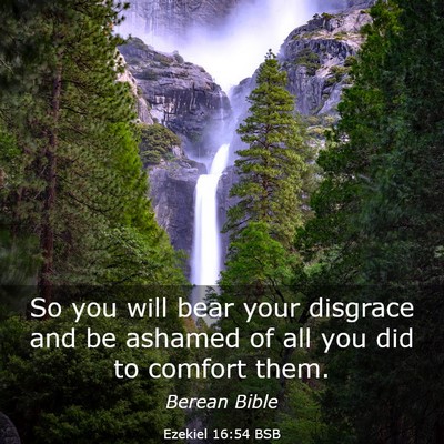 Picture 03 - Ezekiel 16:54 BSB - So you will bear your disgrace and be ashamed of - Bible Verse Picture