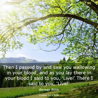 Picture 03 - Ezekiel 16:6 BSB - Then I passed by and saw you wallowing in your - Bible Verse Picture