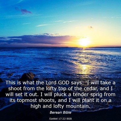 Picture 03 - Ezekiel 17:22 BSB - This is what the Lord GOD says: ‘I will take a - Bible Verse Picture