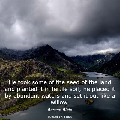 Picture 03 - Ezekiel 17:5 BSB - He took some of the seed of the land and planted - Bible Verse Picture
