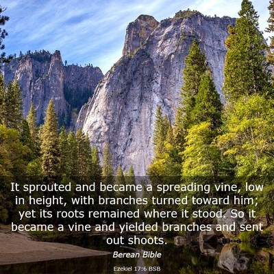 Picture 03 - Ezekiel 17:6 BSB - It sprouted and became a spreading vine, low in - Bible Verse Picture