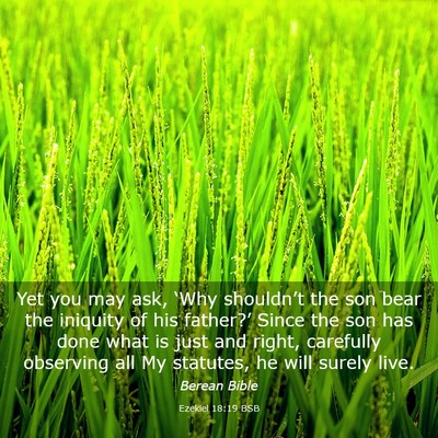 Picture 03 - Ezekiel 18:19 BSB - Yet you may ask, ‘Why shouldn’t the son bear - Bible Verse Picture