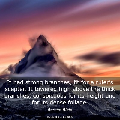 Picture 03 - Ezekiel 19:11 BSB - It had strong branches, fit for a ruler’s - Bible Verse Picture