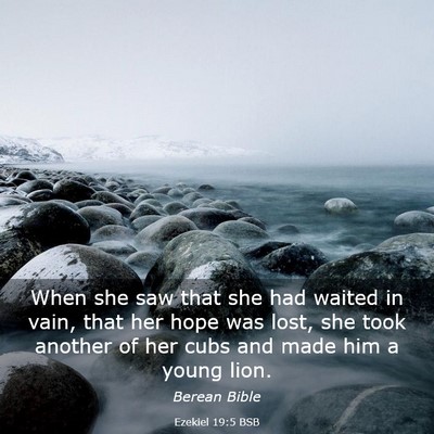 Picture 03 - Ezekiel 19:5 BSB - When she saw that she had waited in vain, that - Bible Verse Picture