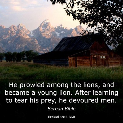 Picture 03 - Ezekiel 19:6 BSB - He prowled among the lions, and became a young - Bible Verse Picture