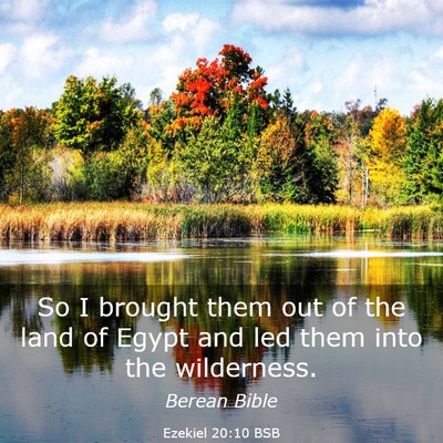 Picture 03 - Ezekiel 20:10 BSB - So I brought them out of the land of Egypt and - Bible Verse Picture