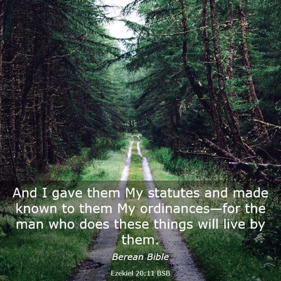 Picture 03 - Ezekiel 20:11 BSB - And I gave them My statutes and made known to - Bible Verse Picture