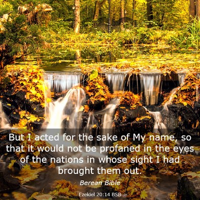 Picture 03 - Ezekiel 20:14 BSB - But I acted for the sake of My name, so that it - Bible Verse Picture