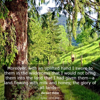 Picture 03 - Ezekiel 20:15 BSB - Moreover, with an uplifted hand I swore to them - Bible Verse Picture