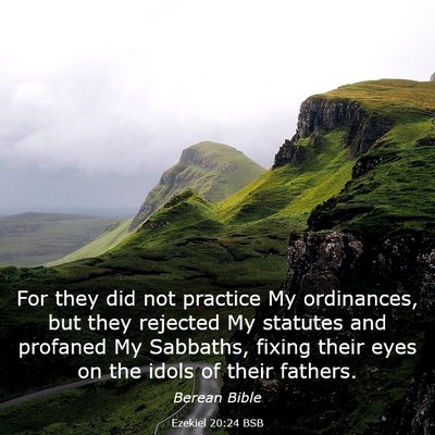 Picture 03 - Ezekiel 20:24 BSB - For they did not practice My ordinances, but they - Bible Verse Picture