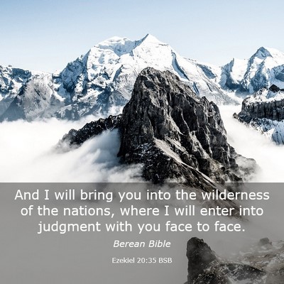 Picture 03 - Ezekiel 20:35 BSB - And I will bring you into the wilderness of the - Bible Verse Picture