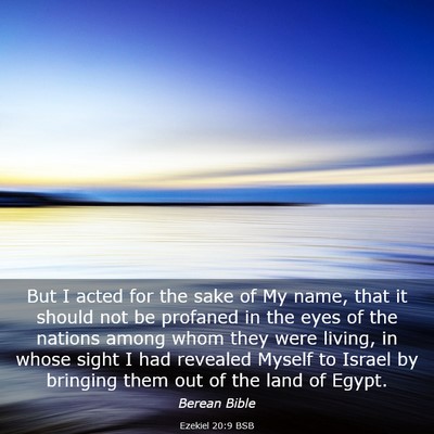Picture 03 - Ezekiel 20:9 BSB - But I acted for the sake of My name, that it - Bible Verse Picture