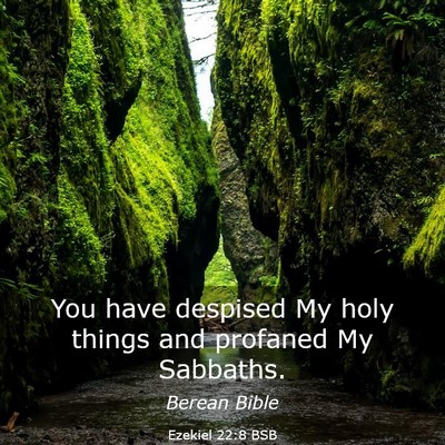 Picture 03 - Ezekiel 22:8 BSB - You have despised My holy things and profaned My - Bible Verse Picture