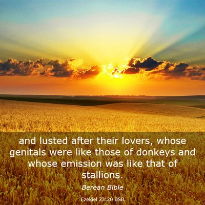 Picture 03 - Ezekiel 23:20 BSB - and lusted after their lovers, whose genitals - Bible Verse Picture