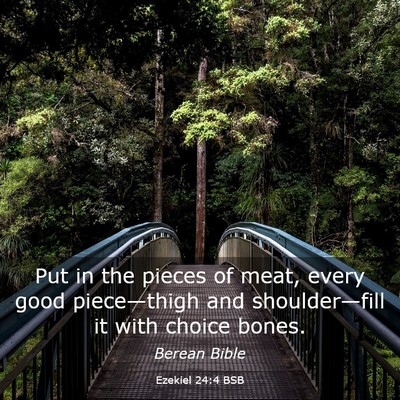 Picture 03 - Ezekiel 24:4 BSB - Put in the pieces of meat, every good - Bible Verse Picture