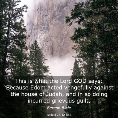 Picture 03 - Ezekiel 25:12 BSB - This is what the Lord GOD says: ‘Because Edom - Bible Verse Picture