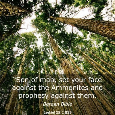 Picture 03 - Ezekiel 25:2 BSB - “Son of man, set your face against the - Bible Verse Picture