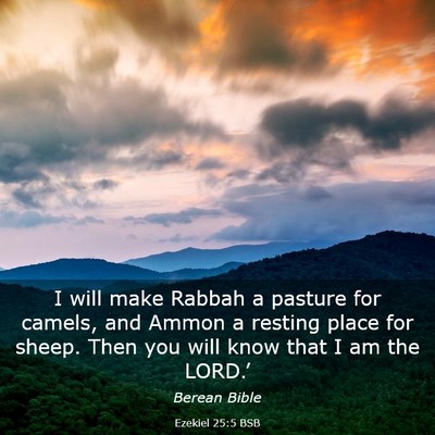 Picture 03 - Ezekiel 25:5 BSB - I will make Rabbah a pasture for camels, and - Bible Verse Picture