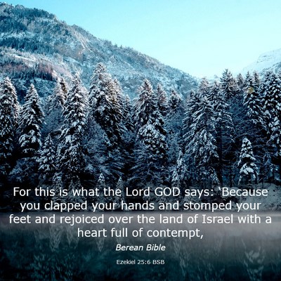 Picture 03 - Ezekiel 25:6 BSB - For this is what the Lord GOD says: ‘Because - Bible Verse Picture