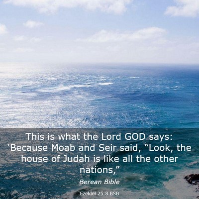 Picture 03 - Ezekiel 25:8 BSB - This is what the Lord GOD says: ‘Because Moab - Bible Verse Picture