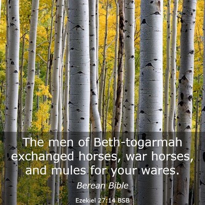 Picture 03 - Ezekiel 27:14 BSB - The men of Beth-togarmah exchanged horses, war - Bible Verse Picture