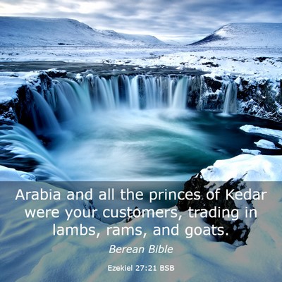 Picture 03 - Ezekiel 27:21 BSB - Arabia and all the princes of Kedar were your - Bible Verse Picture