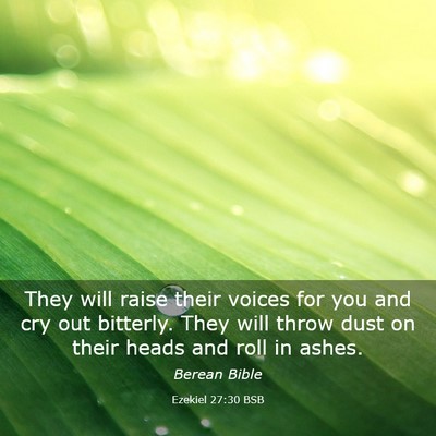 Picture 03 - Ezekiel 27:30 BSB - They will raise their voices for you and cry out - Bible Verse Picture