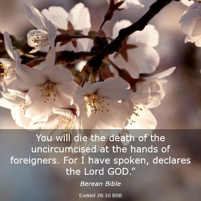 Picture 03 - Ezekiel 28:10 BSB - You will die the death of the uncircumcised at - Bible Verse Picture