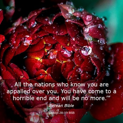 Picture 03 - Ezekiel 28:19 BSB - All the nations who know you are appalled over - Bible Verse Picture