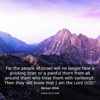 Picture 03 - Ezekiel 28:24 BSB - For the people of Israel will no longer face a - Bible Verse Picture