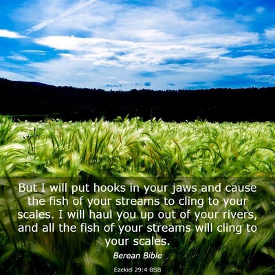 Picture 03 - Ezekiel 29:4 BSB - But I will put hooks in your jaws and cause the - Bible Verse Picture